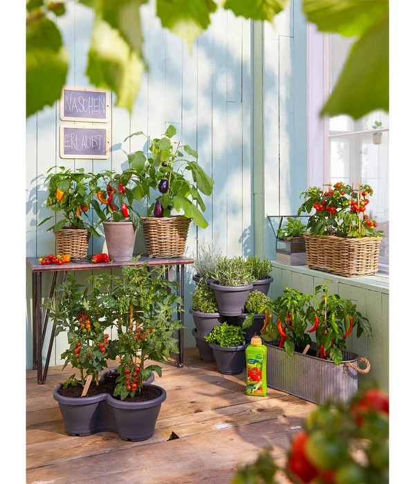 Van Der Leeden Rattan-Pflanzkasten, Graubraun – Bild 6