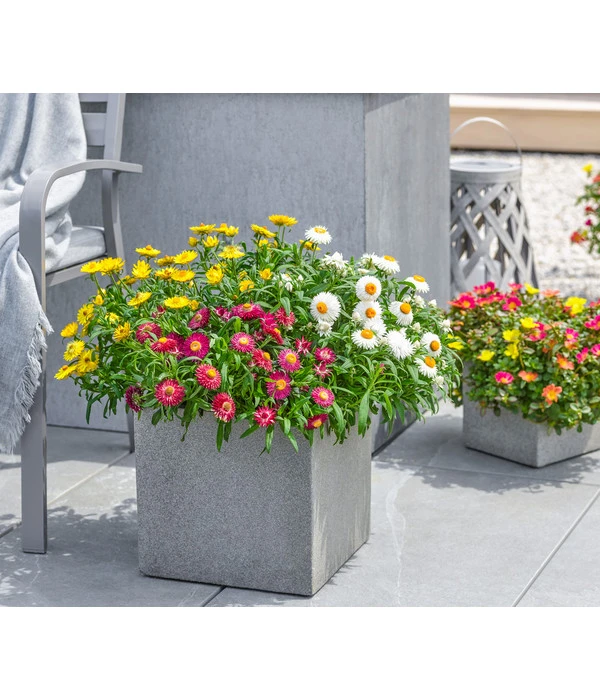 Dehner Polystone-Topf Sydney, Quadratisch, Grau – Bild 2